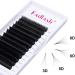 D Curl 0.05 Easy Fan Lashes 15-20mm Mixed Length Russian Eyelashes - Natural Look Self Fanning Eye Lashes Extensions - Buy Online on GoSupps.com