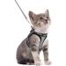 rabbitgoo cat dishes cat linen set cat dishes with leash dishes cats outbreakingly adjustable soft with reflective stripes for cats kitten puppies cat harness leash gray s (1 Pack) gray