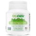 Xylichew 100% Xylitol Chewing Gum Jars - Non GMO, Gluten, Aspartame, and Sugar Free Gum - Natural Oral Care, Relieves Bad Breath and Dry Mouth - Spearmint, 60 Count (Pack of 4) Spearmint 60 Count (Pack of 4)