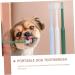GRIRIW 4pcs Toothbrush Tufting Kit Pet Kitten Supplies Cat Toothpaste and Brush Kit Puppy Tufted Plastic - Buy Online on GoSupps.com