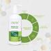 O.trix Green Tea Conditioner | Paraben-Free | Nourish & Enhance Shine for All Hair Types | 300ml for Men & Women - Buy Online on GoSupps.com