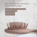 RHOS Mini Travel Hair Brush - Pocket Detangler for Wet/Dry Hair - All Hair Types - Mocha (1 Pack) - Buy Online on GoSupps.com