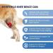 Dog Leg Protector Reduce Pain Inflammation Pet Knee Brace Breathable Pet Supplies Black S - Buy Online on GoSupps.com