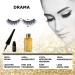 Premium Magnetic Eyelashes - 5 Pairs 5 Magnets Each 2D Drama Look | Vegan Reusable Sustainable | Luxury Collection Set with Storage Box - Buy Online on GoSupps.com
