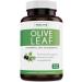 Olive Leaf Extract (Non-GMO) Super Strength: 20% Oleuropein - 750mg - Vegetarian - Immune Support, Cardiovascular Health & Antioxidant Supplement - No Oil - 60 Capsules 60 Count (Pack of 1)