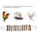 24-inch Wood Bird Ladder Swing for Parrots & Cockatiels | Hanging Climbing Bridge for Small-Medium Birds - Buy Online on GoSupps.com