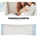 Perineal Cold Pad Hygienic Postpartum Ice Cold Pack for Postpartum Care - Buy Online on GoSupps.com
