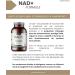 Formule NAD+ avec Trans-Resv ratrol et Querc tine | 60 G lules | Avec Vitamines B2 et B5 + Pip rine | nergie Cellulaire R paration et Long vit | Sans Gluten | V gan - Buy Online on GoSupps.com