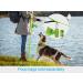 Taglory Light Dog Leash for Small Dogs | Reflective Double-Sided | Padded Handle | 1.2m x 2cm | Up to 10kg - Green (1-Pack) - Buy Online on GoSupps.com