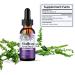 Amazing Botanicals Skullcap 10X Extract Tincture 30,000 mg - 30ml/1oz - High Potency Herbal Liquid Supplement for Relaxation and Wellness - Buy Online on GoSupps.com