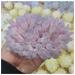 Natural Crystal Rough Natural Pink Crystal Cluster Pink Quartz Cluster Pink Raw Stones Specimen Home Decoration 1pcs Decoration (Size : 500-600g)