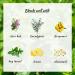 2pcs Lemon + Peppermint 10ml Essential Oils Set - 100% Pure Aromatherapy Kit - Buy Online on GoSupps.com