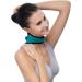 USB Heated Neck Warmer with Temperature Control | Sore Neck Relief | Plush Cushion Heating Pillow with Mugwort Bag | International Shipping - Buy Online on GoSupps.com