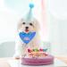 4-Piece Set Pet Birthday Party Supplies Dog Triangle Scarf Birthday Hat Dog Bow Tie Gold Powder Digital Patch Pet Party Celebration Decor for Small Medium Large Pets (Blue) - Buy Online on GoSupps.com