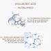 VENZEN Natural Organic Advanced Repair Skin Hyaluronic Solution 30ml | Hydrating Nicotinamide & Oligopeptide - International Shipping Available - Buy Online on GoSupps.com