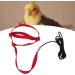 Buy Cyrank Adjustable Bird Dishes & Pet Leash for Outdoor Training - Perfect for Nymphensittich & Alexandriner - XL Size Available - Buy Online on GoSupps.com