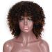 ColorfulPanda Afro Wig | Synthetic Brazilian Curly Hair for Women | Kinky Curly Short Wigs in Black Brown Ombre - Buy Online on GoSupps.com
