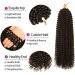 Passion Twist Hair - 24 Inch Water Wave Crochet Extensions (7 Packs) | Long Bohemian Braiding Hair | Synthetic Passion Twist 4# - Buy Online on GoSupps.com