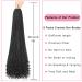 8 Packs 30 Inch Crochet Box Braids Hair with Curly Ends - Pre Looped Extensions in 1B for Goddess Box Braids - Buy Online on GoSupps.com