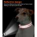 Joytale Reflective Dog Collar for Puppies - XS Pink | Durable & Stylish | Ideal for Safe Night Walks - Buy Online on GoSupps.com