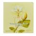 Corlys Powder 4 Oz - Talcum Powder with Puff for Gentle Fragrance and Smooth Skin - Buy Online on GoSupps.com