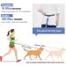 Snocyo Jogging Leash for Medium & Large Dogs - Elastic Reflective Dog Leash with Double Handle & Waist Belt - Perfect for Active Pet Owners - Buy Online on GoSupps.com