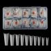 Natural Coffin Acrylic Nails- Coffin Ballerina Nail Tips Half Cover Nails Long Acrylic False Fake Nail Artificial  10 Size 500pcs with Box(Natural)