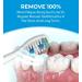 Sonic Electric Toothbrush for Adults with 5 Replacement Heads, 3 Modes & Timer | Rechargeable Travel Toothbrush - White - Buy Online on GoSupps.com