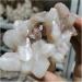 Natural Crystal Rough 70g-95g Natural Zeolite Crystal Raw Crystal Specimen Decoration - Buy Online on GoSupps.com