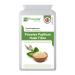 Psyllium Husks 1500mg x 90 Capsules - Natural Dietary Fibre for Colon Cleansing & Bowel Health - UK Manufactured | GMP Standards by Prowise Healthcare