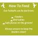 The Suet Shop 80g x 50 Standard Suet Fat Balls - High Energy & Protein for Wild Birds - Buy Online on GoSupps.com