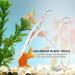 Aquarium Plant Scissors Stainless Steel Wave Scissors Curved Scissors Aquarium Tank Aquascaping Tools Water Plant Trim Tool Aquatic Plant Landscaping Cleaning Scissors(Wave Scissors) - Buy Online on GoSupps.com
