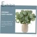 Zerodeko 12pcs Simulated Eucalyptus Leaves Party Decors Real Touch Green Leaf Home Decor Home Plant Decors Vase Floral Arrangement Greenery Decor Faux Plastic Fake Plant Wedding - Buy Online on GoSupps.com