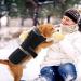 Dog Warm Coats Dog Jackets Waterproof with Fleece Lining Dog Coats Waterproof Dog Rain Coat Dog Clothes Dog Raincoats Thickened Dog Fleece Jumper Rain Coats for Large Dogs - Blue XL XL Blue - Buy Online on GoSupps.com