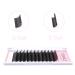 TDANCE YY D-0.05 8-15mm Volume 2D Fans Eyelash Extensions | Long Lasting Matte Black Lashes | Easy Application Premade Fans - 1 Count - Buy Online on GoSupps.com