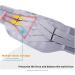 Back Bandage for Men & Women - Adjustable Compression Waist Belt for Herniated Disc & Sciatica Pain Relief - Dual Support & Comfort - Buy Online on GoSupps.com