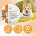 Benepura Pfotenbalsam 40 ml - Natural Paw Care for Dogs & Cats - Moisturizes Rough Cracked Paws and Noses - Wound Ointment & Paw Protection - Buy Online on GoSupps.com
