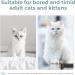 Cheerble Smart Interactive Cat Toy | 3 Modes | Automatic Moving Bouncing Rolling Ball | Indoor Cat Kitten Birthday Gift | Self Rotating with Lights and Bell | USB Rechargeable - Green - Buy Online on GoSupps.com