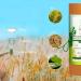 3-in-1 Organic Baby Child Talc-Free Care Powder - Soothing Comfort Redness Rubbing Moisture - Rice Oats Aloe Vera - Natu - Buy Online on GoSupps.com
