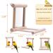 Bird Mirror Swing Toy for Small Parrots - Hanging Play Mirror for Greys, Parakeets, Cockatoos, Cockatiels, Conures, Lovebirds, Canaries, Macaws and African Parrots - Buy Online on GoSupps.com