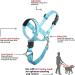 Barkless Dog Handler - No Pull Training Tool for Medium & Large Dogs | Soft Upholstery & Instructions | Light Blue - Buy Online on GoSupps.com