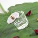 Mini Glass Dappen Dish Set with Stainless Steel Lid - Nail Art Acrylic Powder Tools - Buy Online on GoSupps.com