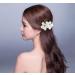 8 Pack Hawaiian Luau Hibiscus Flower Gold Hair Combs for Women Perfect for Parties and Weddings! - Buy Online on GoSupps.com