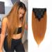 Clip in Hair Extensions Remy Human Hair Ombre Straight Hair Silky Thick Real 100% Human Hair For Black Women Virgin Hair 8Pcs Total of 18 Clips 130g(18Inch#1B/30 Brown) 18 Inch Straight 1B/30(Natural Black/Brown)