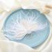 Latious Bride Flapper Feather Hair Comb | White Crystal Bridal 1920s Hair Clip | Gatsby Hair Jewelry for Women - Buy Online on GoSupps.com