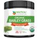 Barley Grass Powder - USDA Certified Organic Barley Grass Powder - Non-GMO, Vegan, and Non-Irradiated - Rich In Antioxidants, Protein, Fiber, Minerals, Chlorophyll, Amino Acids and Protein - 200 Grams Powder 7.1 Ounce (Pack