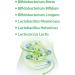 Dr. Jacobs Lactobifido 90 Capsules - 5 Billion Probiotics for Histamine Intolerance - Yeast & Gluten Free - 90 Portions - Buy Online on GoSupps.com