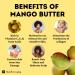 Kyabo 3Lbs Mango Butter - Premium Organic Unrefined Raw Virgin Cold Press Grade A - 100% Pure Non GMO Natural Moisturizer for Skin and Body Care - Perfect for DIY Body Butters, Soap Making, Lotions, and Creams - Buy Online on GoSupps.com