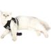 Ranphy Cat Dishes & Leash Set - Break-Proof Reflective Chest Harness for Small & Adult Cats - Soft Fabric Black Size L (Chest 44 cm) - Buy Online on GoSupps.com