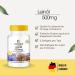 Linseed Oil Capsules 500mg - High Dose Omega 3-6-9 - 250 Softgels - Premium Flaxseed Oil by Warnke - German Pharmacy Quality - International Shipping Available - Buy Online on GoSupps.com